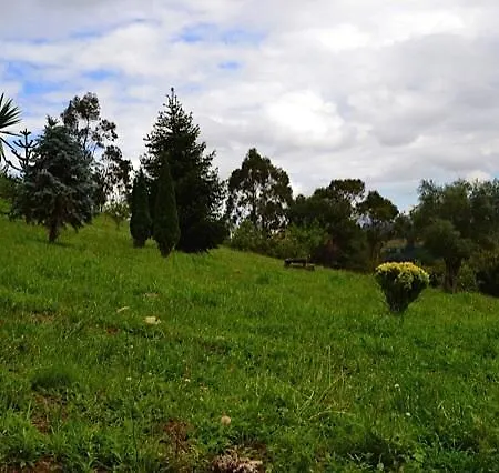 Rurales Casa Ron *