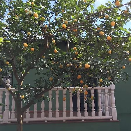 Rurales Casa Ron Apartment