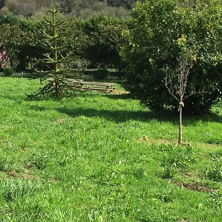 Appartamento Rurales Casa Ron